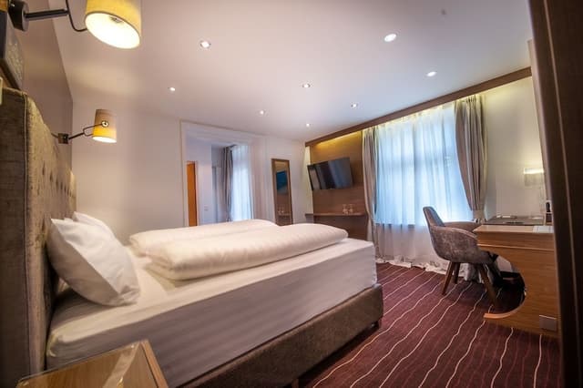 Standard Double Room, Mountain View