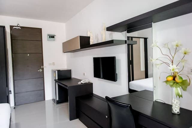 1-Bedroom Apartment