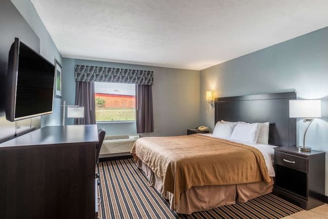 Standard Room, 1 King Bed, Non Smoking, Jetted Tub (1 Person Jetted Tub)