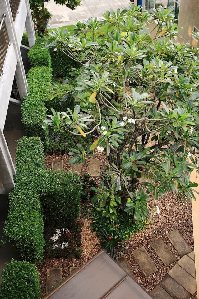Garden View Room