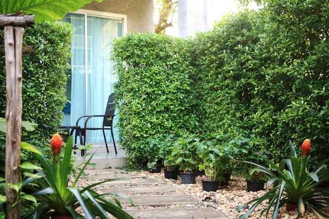 Garden View Room
