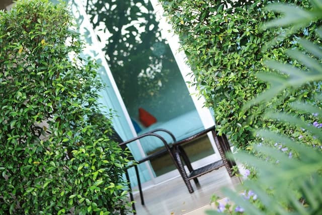 Garden View Room