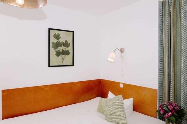 Basic Double or Twin Room