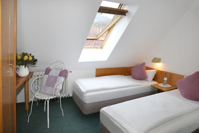 Basic Double or Twin Room