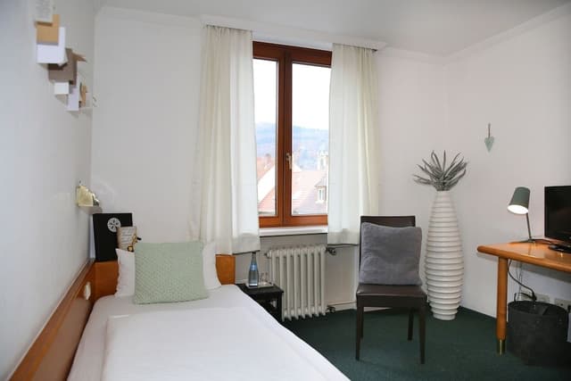 Basic Single Room