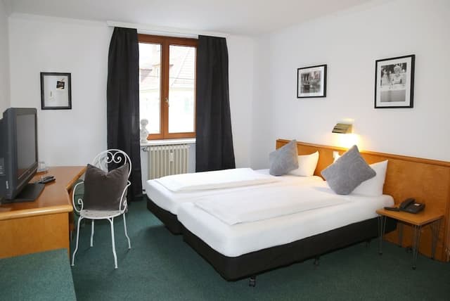 Basic Double or Twin Room