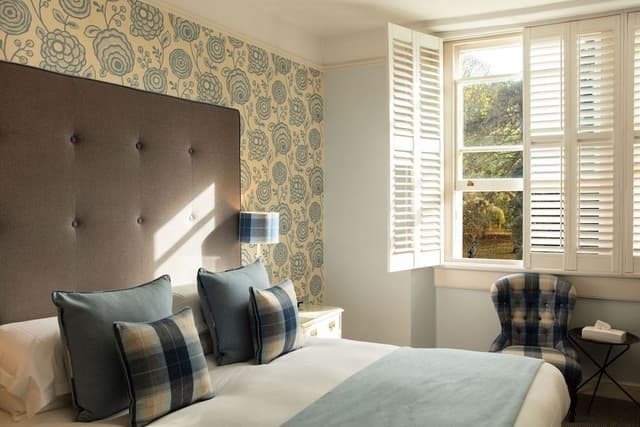 Deluxe Room, 1 King Bed, Park View