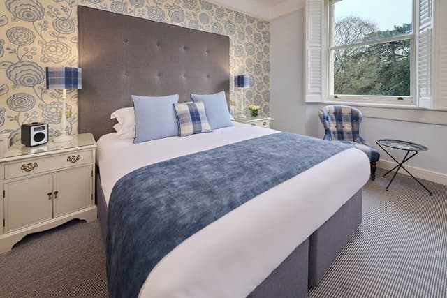 Deluxe Room, 1 King Bed, Park View