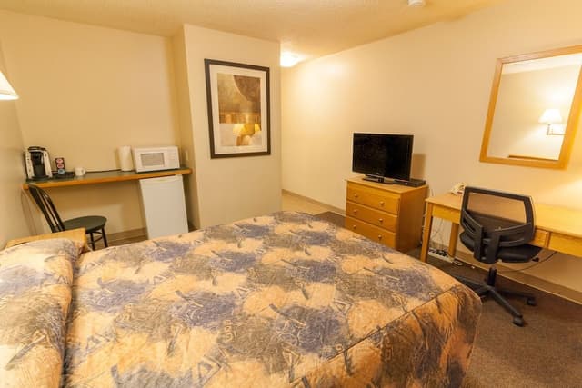 Standard Room, 1 Queen Bed, Non Smoking (Pets not allowed)