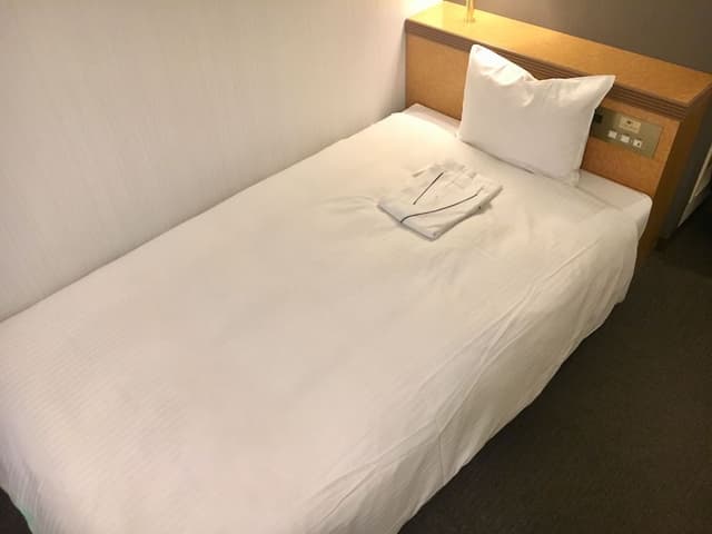 Basic Single Room, 1 Twin Bed