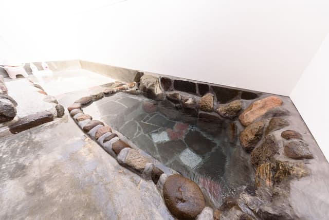 Annex Japanese Western Style Room with Hot spring Bath [Himawari, Suzuran] Non Smoking