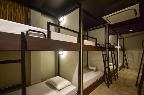 Bunk Bed in Mixed Dormitory Room