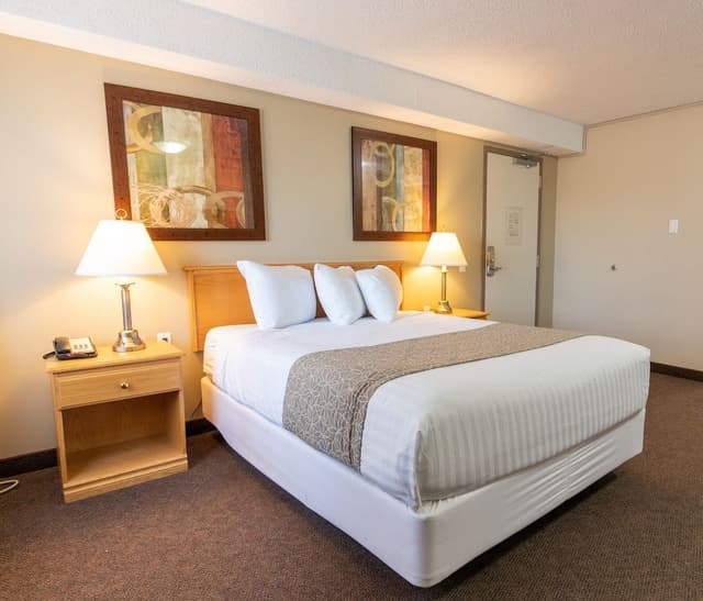 Room, 1 Queen Bed, Non Smoking