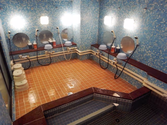 Japanese-Style Deluxe Room with Shared Bathroom