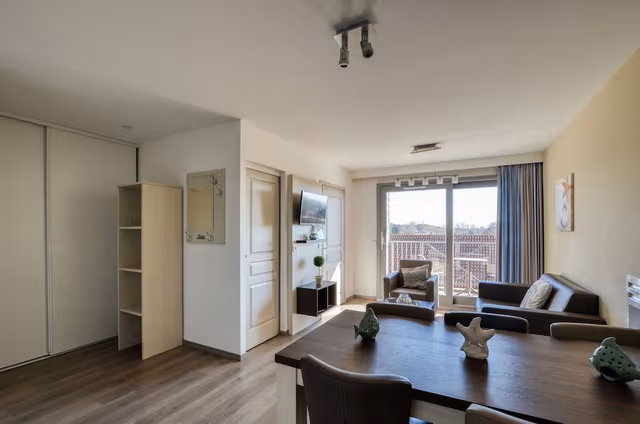 Basic Apartment, 1 Bedroom, Balcony