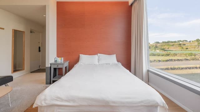 Standard Room (On request Discount on Bubble Spa 30%)