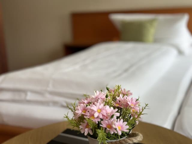 Basic Single Room