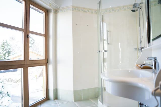 Premium Double or Twin Room, Balcony, Mountain View