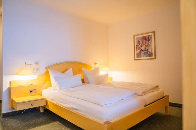 Comfort Double or Twin Room, Balcony, Mountain View