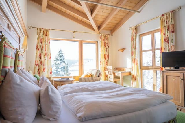 Premium Double or Twin Room, Balcony, Mountain View
