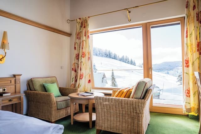 Premium Double or Twin Room, Balcony, Mountain View