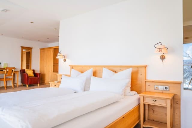 Comfort Double or Twin Room, Balcony, Mountain View