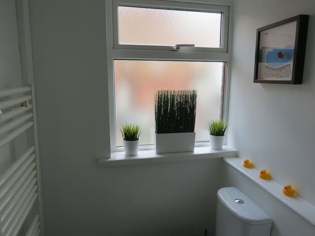 City Apartment, 1 Bedroom