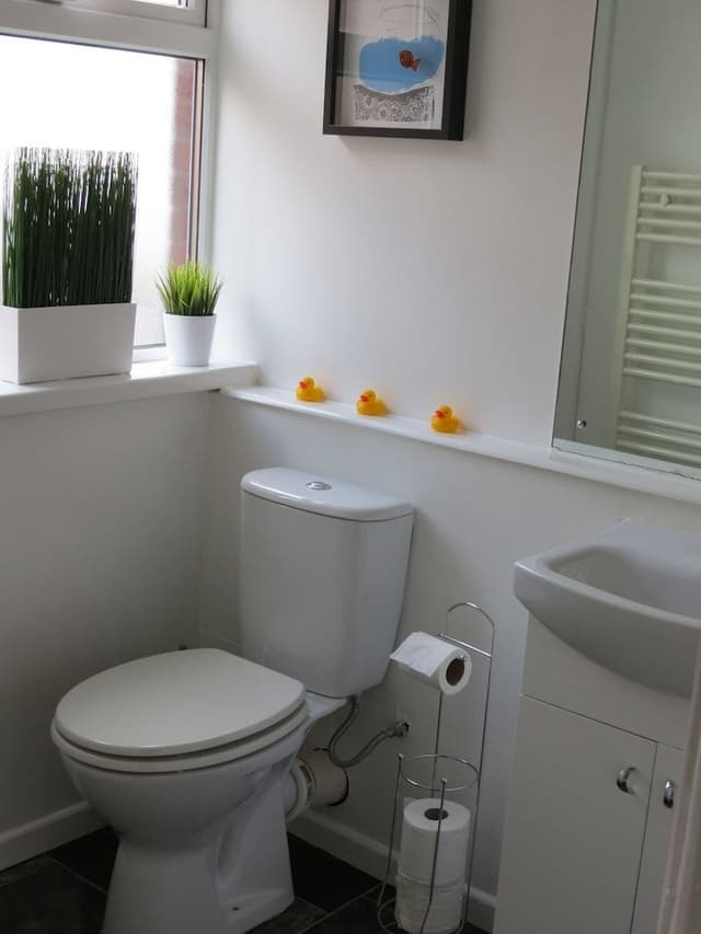 City Apartment, 1 Bedroom