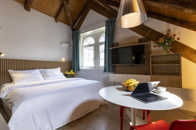 Deluxe Studio, 1 King Bed, Kitchen