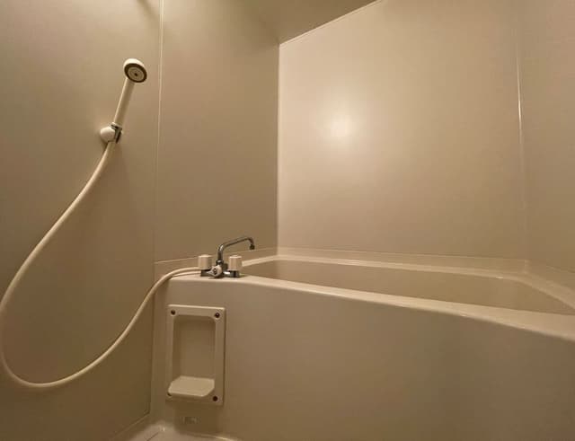 Japanese Tatami Large Room with Private bathroom
