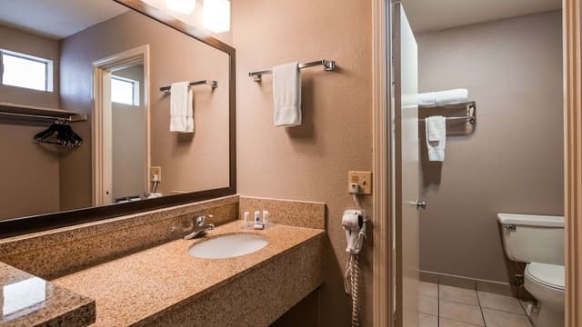 Standard Room, 1 King Bed, Non Smoking, Refrigerator & Microwave (Pet Friendly)