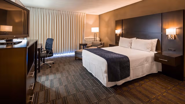 Standard Room, 1 King Bed, Non Smoking, Refrigerator & Microwave (Pet Friendly)