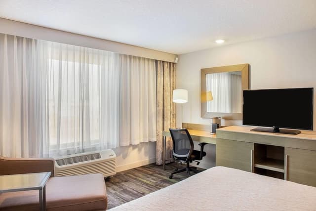 Room, 1 King Bed, Non Smoking