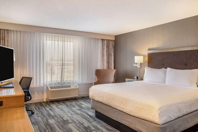 Room, 1 King Bed, Accessible, Non Smoking (Mobility/hearing, Roll-in Shower)