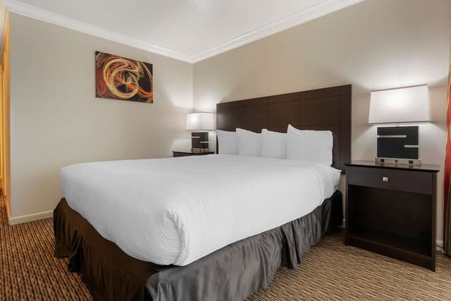 Standard Room, 1 King Bed, Non Smoking, Refrigerator & Microwave