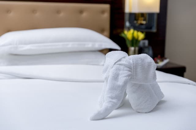 Panoramic Suite, 1 King Bed