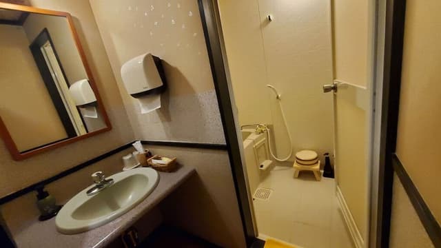 [Mountain Side Standard] Japanese Room, 10 Tatami Mats, Non-Smoking