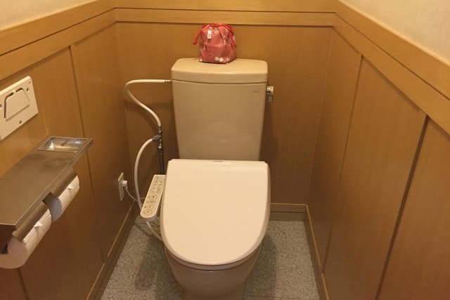 Deluxe Japanese-Style Room