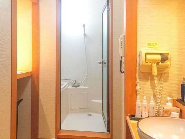Junior Suite Japanese Style Room with Open-Air Bath