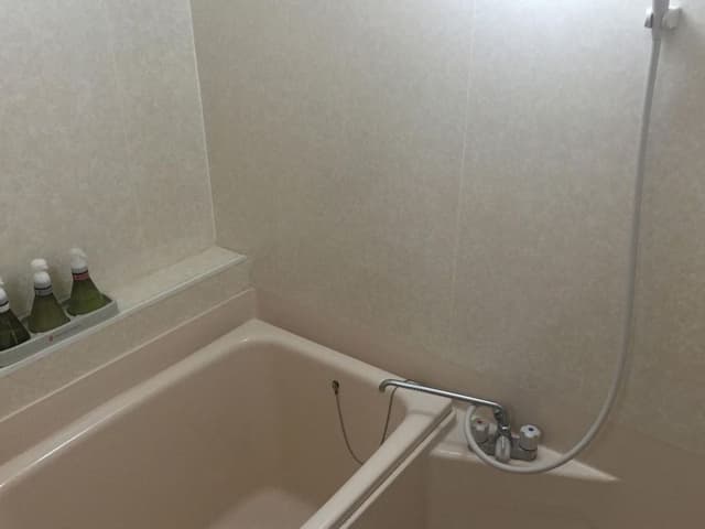 Junior Suite Japanese Style Room with Open-Air Bath