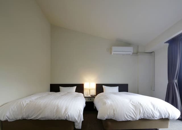 Basic Twin Room