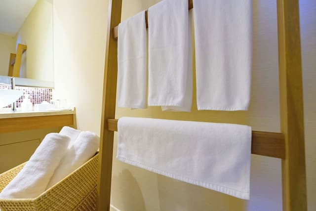Premium Deluxe Room, Non Smoking (2 Beds + 1 Extra Bed)