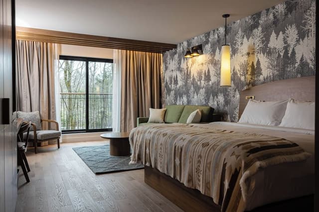 Superior Room, 1 King Bed with Sofa bed
