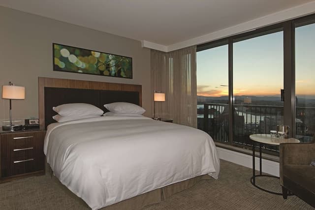 King, Room, 1 King Bed, Non Smoking