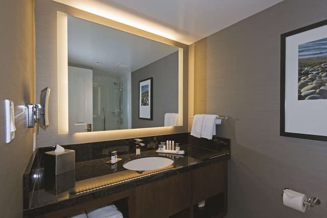 King, Room, 1 King Bed, Non Smoking