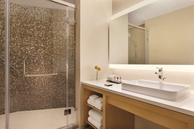 Suite, 1 King Bed with Sofa bed