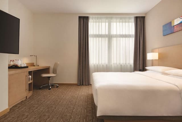 Room, 1 King Bed with Sofa bed