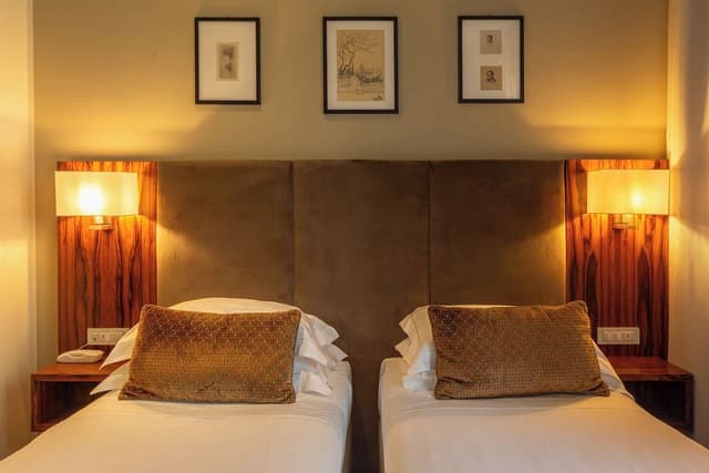 Deluxe Double or Twin Room