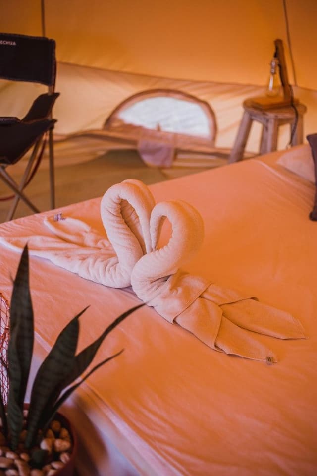 Premium Tent, Private Bathroom, Garden View