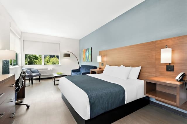 Hayward Pet Friendly Deluxe Room, 1 King bed with Sofa bed